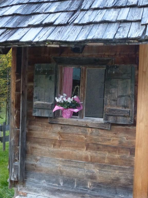 Vila Bio-Urlaubshof Dansbach Spital Am Pyhrn Exteriér fotografie