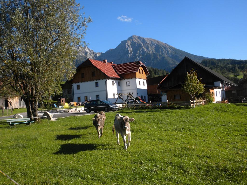 Vila Bio-Urlaubshof Dansbach Spital Am Pyhrn Exteriér fotografie